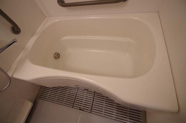 サザントゥリーIIの物件内観写真